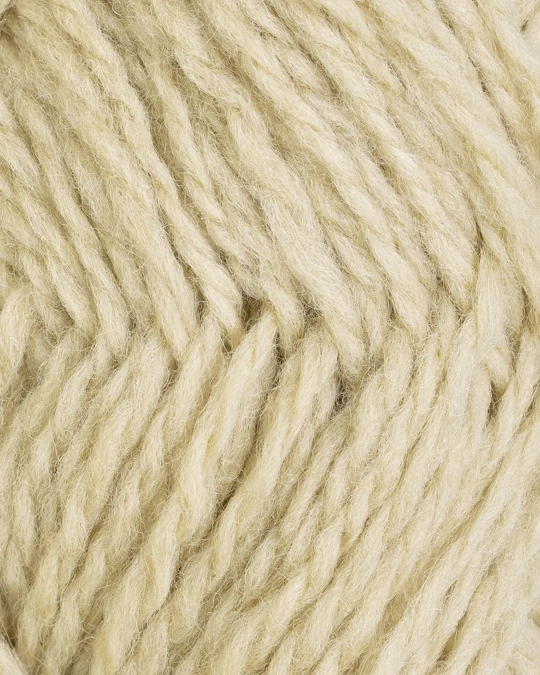 Vams - 115 (Salvie / Salbei)