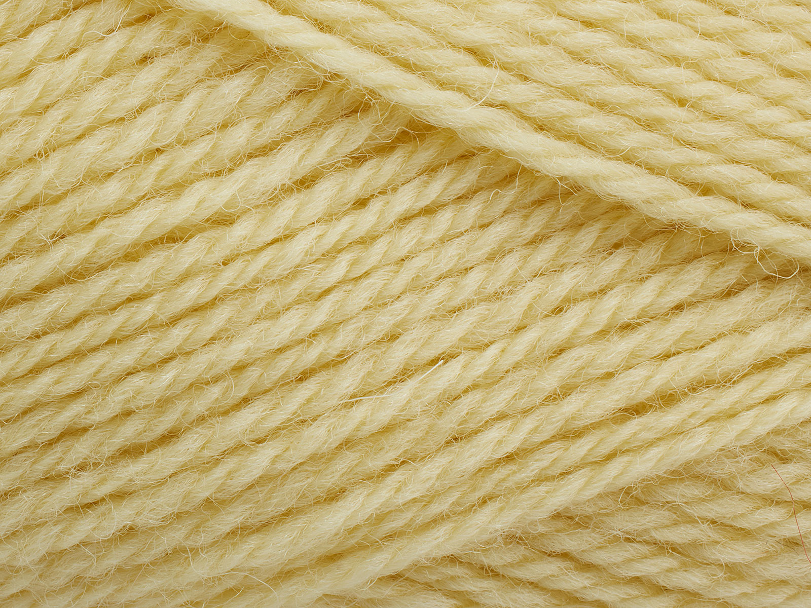 Pernilla - 196 (French Vanilla)