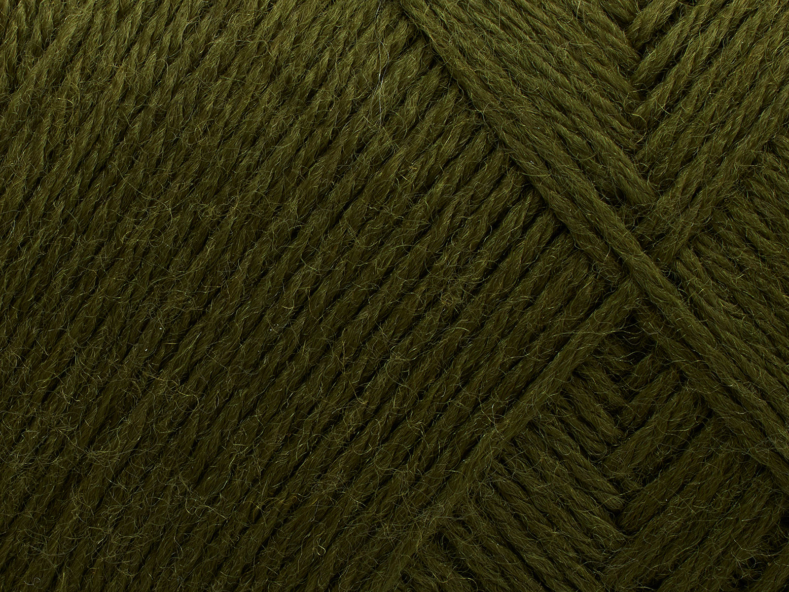 Arwetta - 148 (Deep Olive)