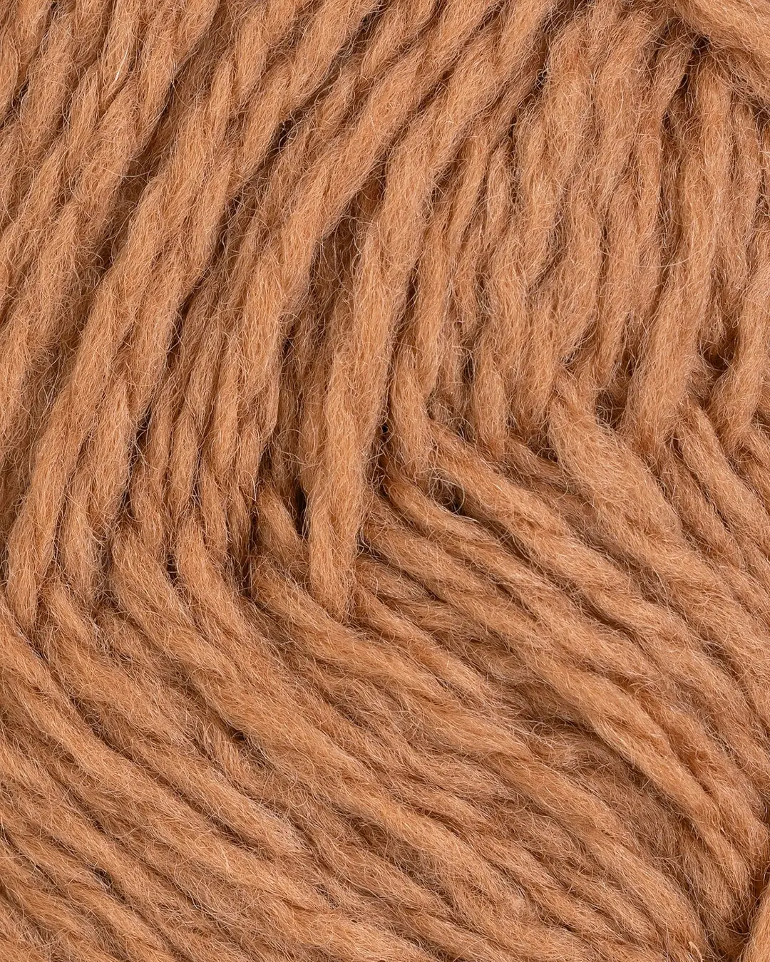 Vams - 63 (Kamel / Camel)