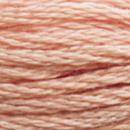 DMC Mouline Special - 3771
