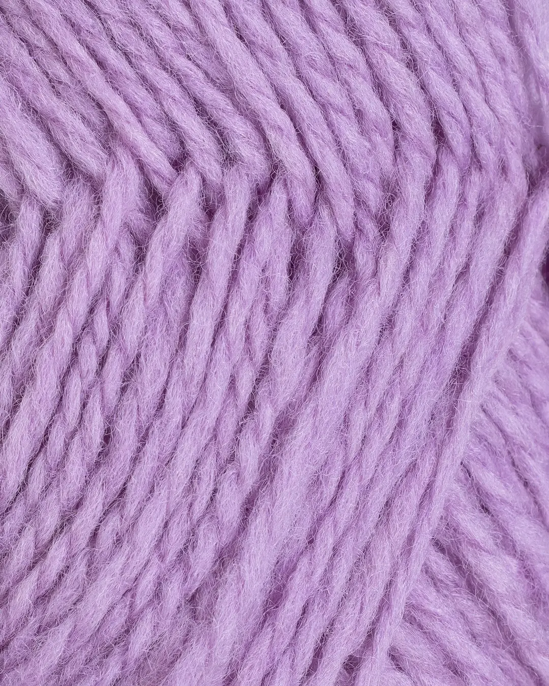 Fivel - 05 (Lavendel)