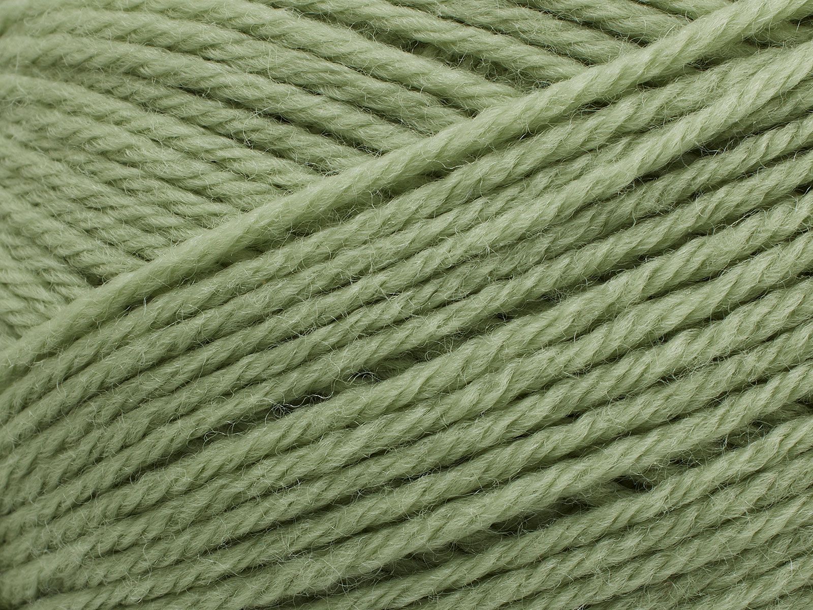Anina - 355 (Green Tea)