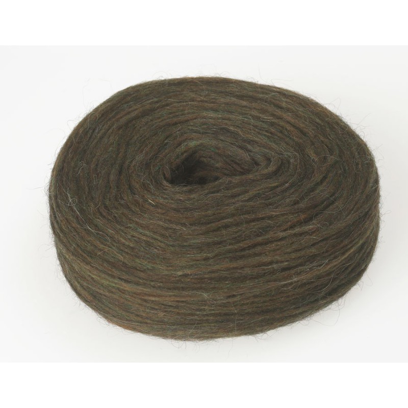 Plötulopi - 1420 (Marsh)