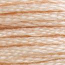 DMC Mouline Special - 3774