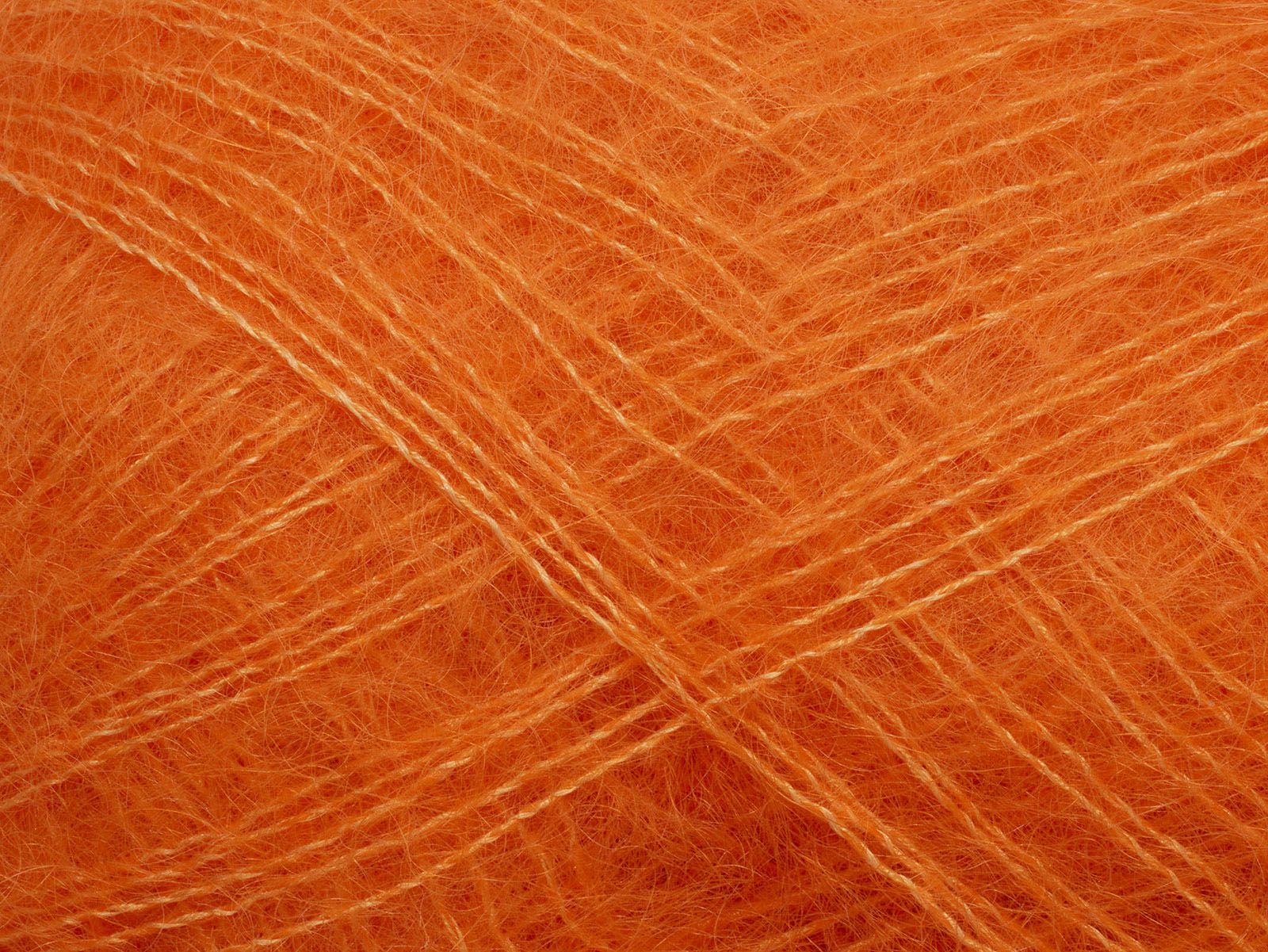 Tilia - 365 (Calendula)