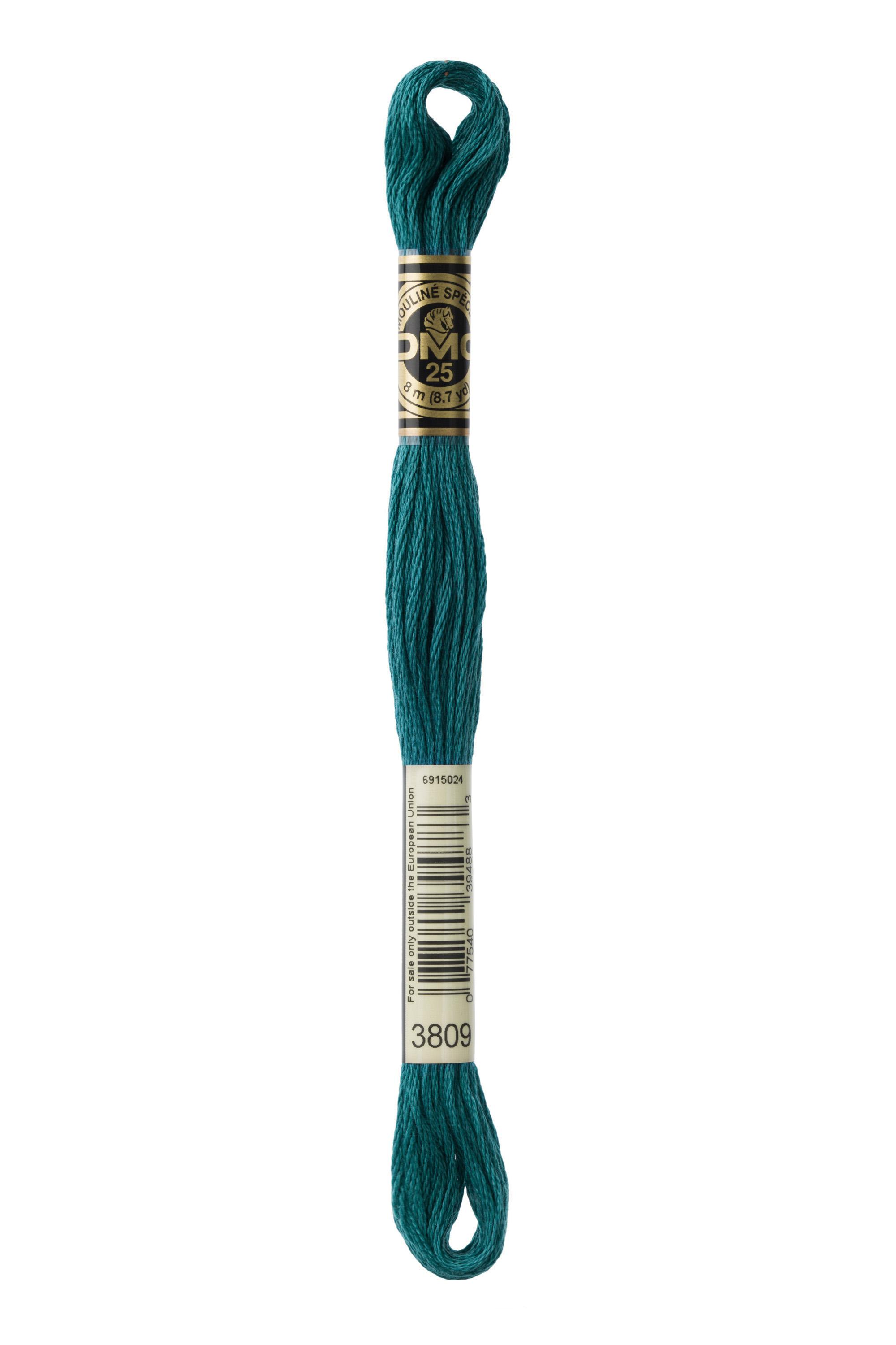 DMC Mouline Special - 3809