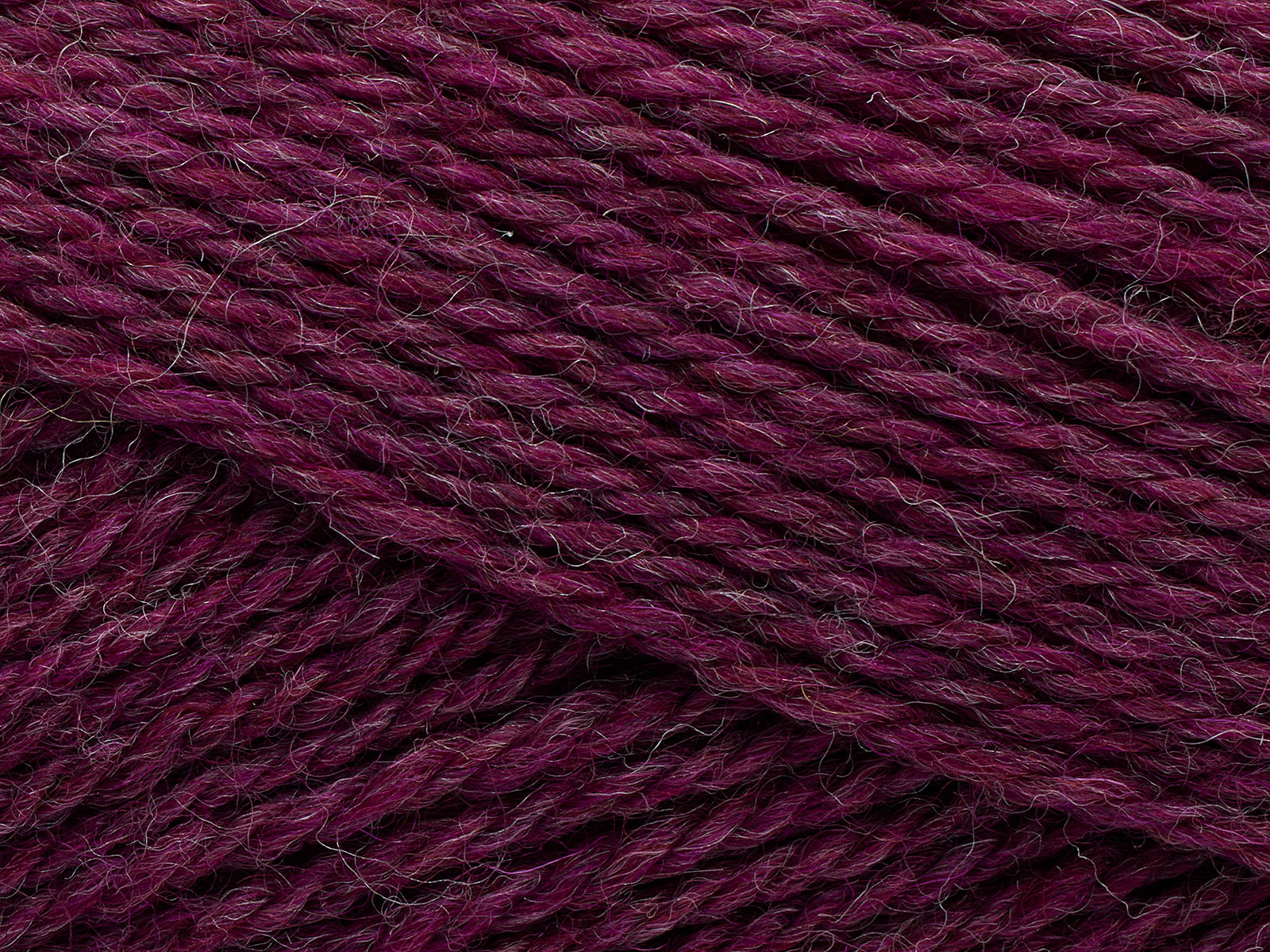 Pernilla - Boysenberry (807)