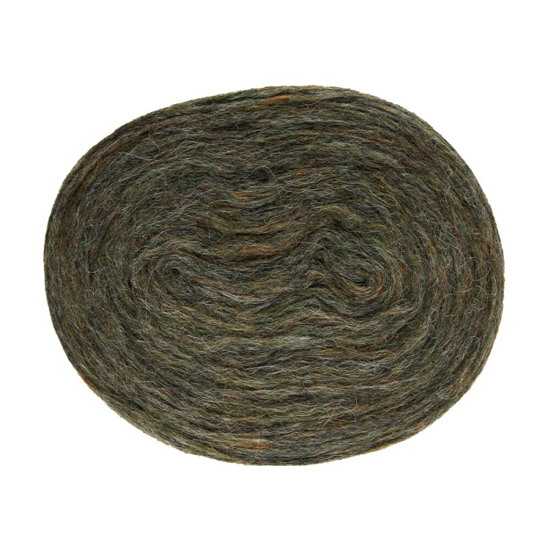 Plötulopi - 2021 (Frost Grass)