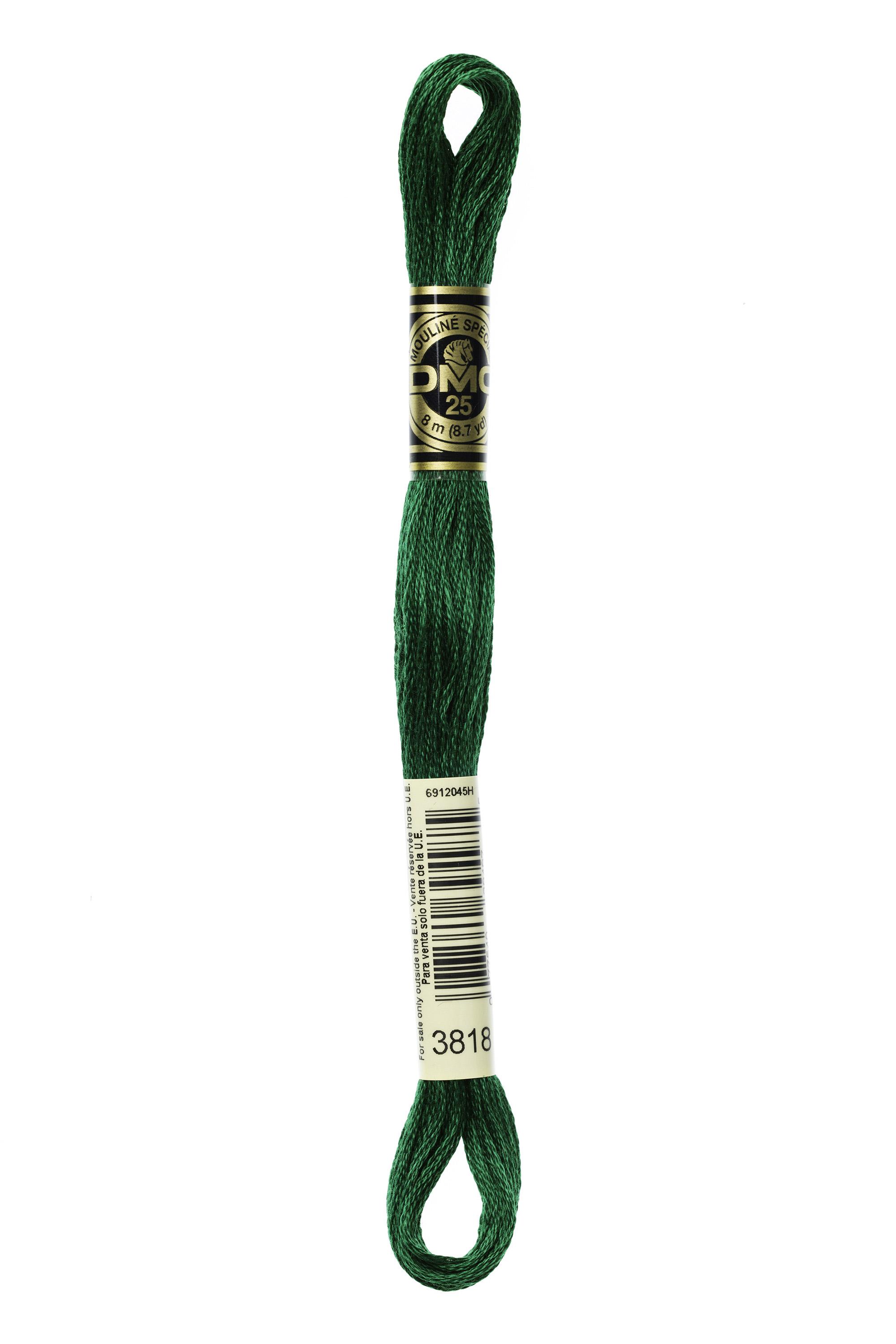 DMC Mouline Special - 3818