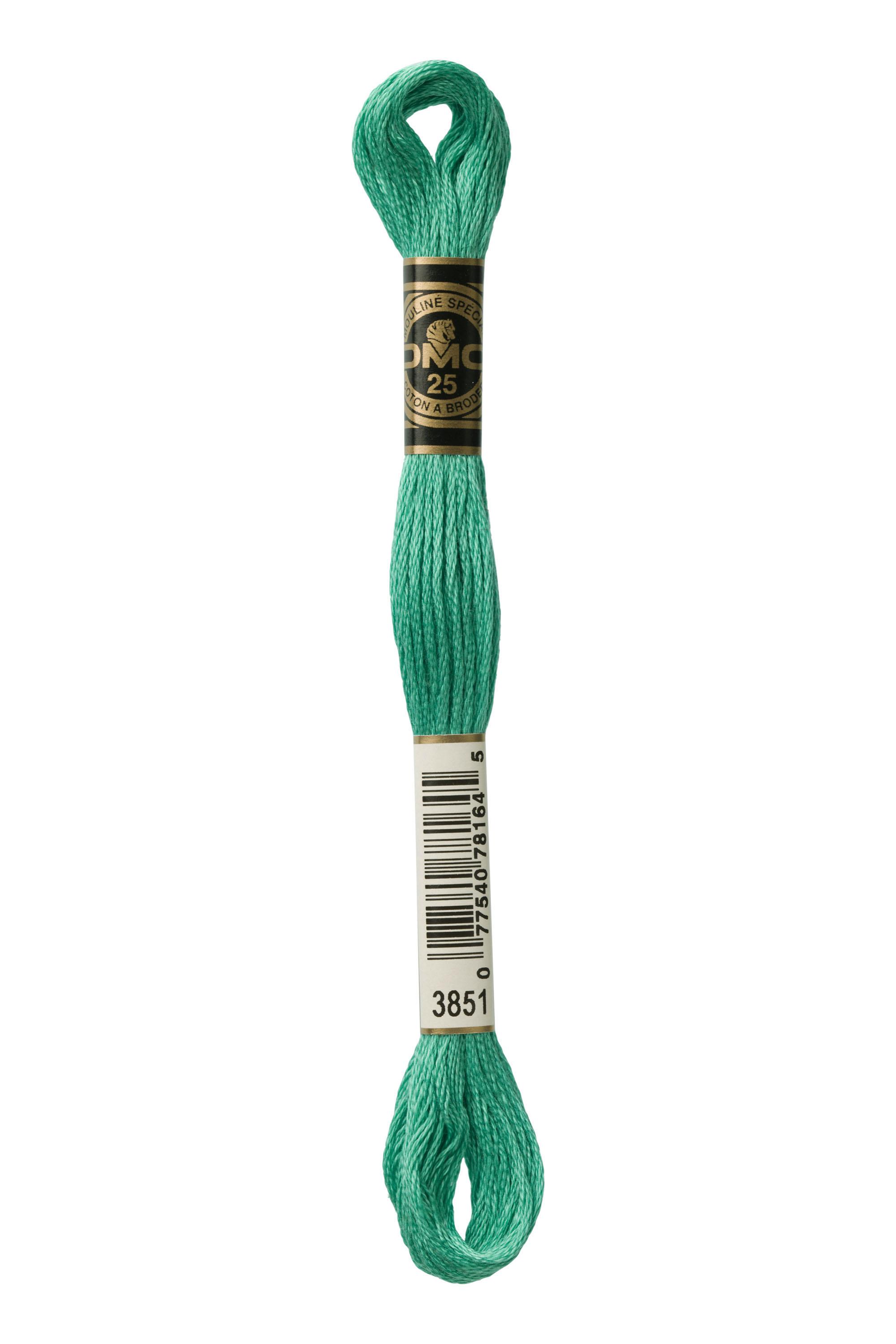 DMC Mouline Special - 3851