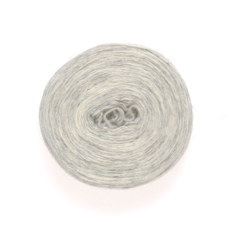 Plötulopi - 1026 (Ash)