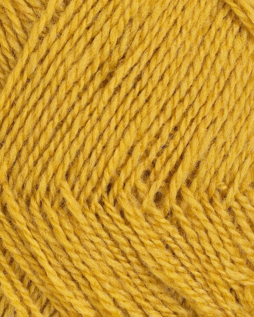 Finull - 4805 (Sennepsgul)