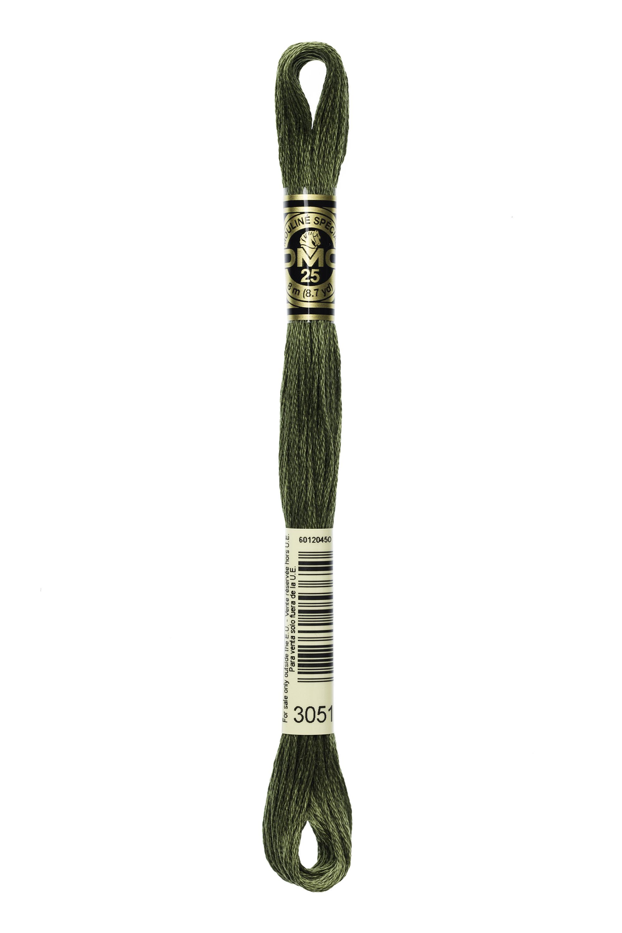 DMC Mouline Special - 3051