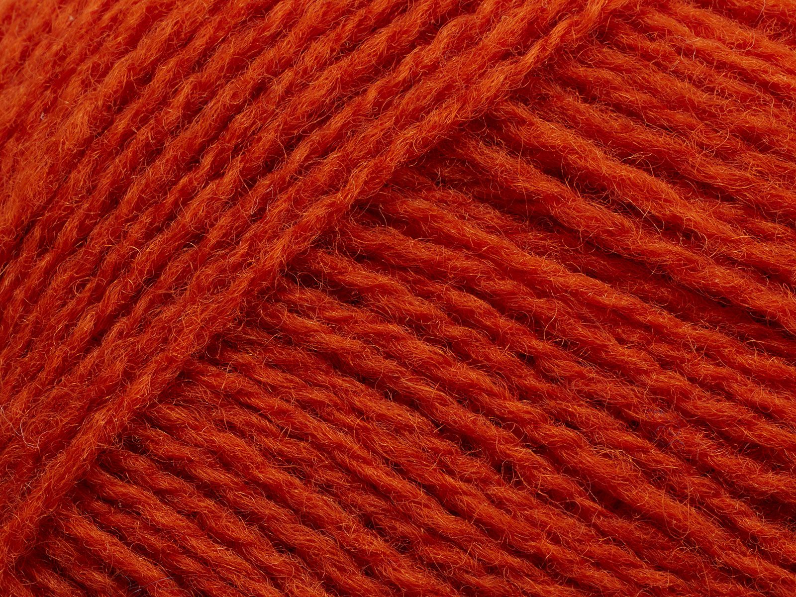 Saga - 111 (Pumpkin)