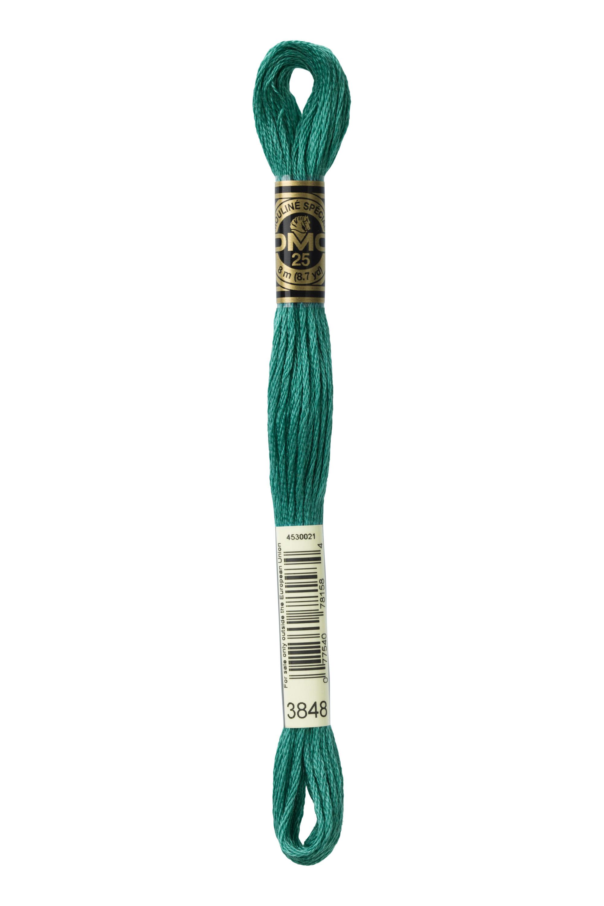 DMC Mouline Special - 3848
