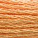 DMC Mouline Special - 3854