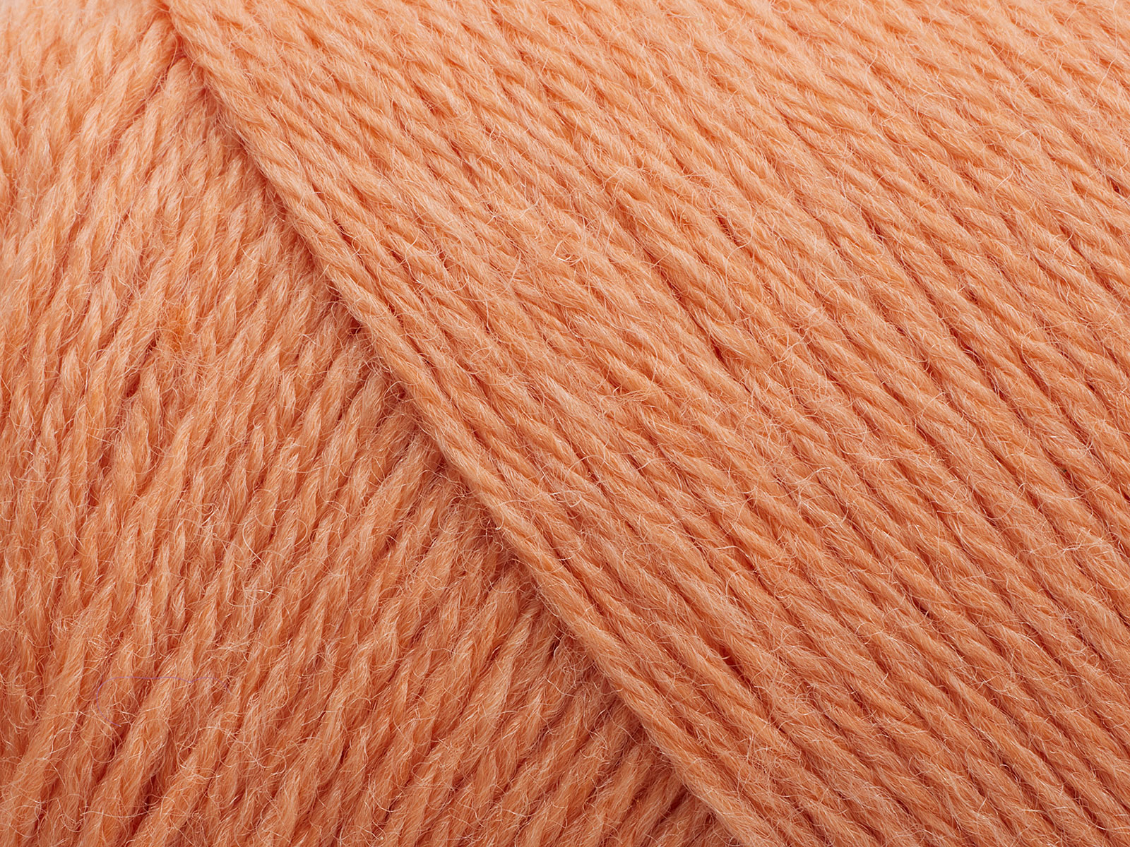 Arwetta - 254 (Coral)