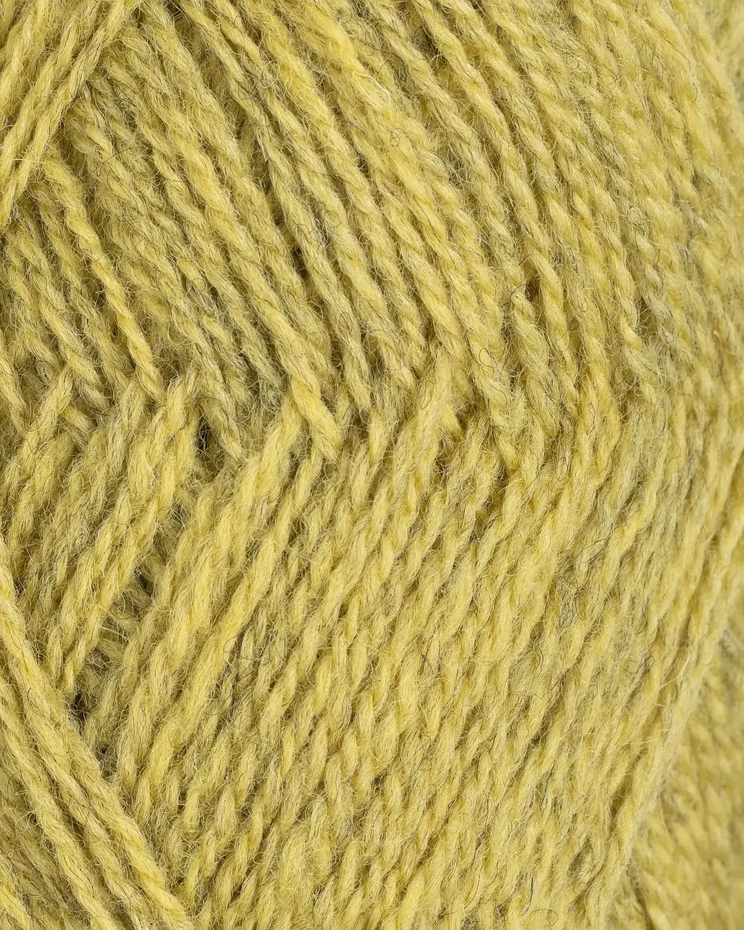 Finull - 4137 (Gul melert)